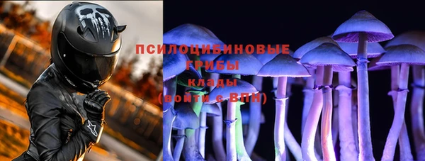 хмурый Балабаново