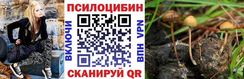 OMG как зайти  Знаменск  Галлюциногенные грибы Magic Shrooms 